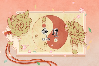 日历表 2026日历全年黄道吉日查询 日历2026年日历表